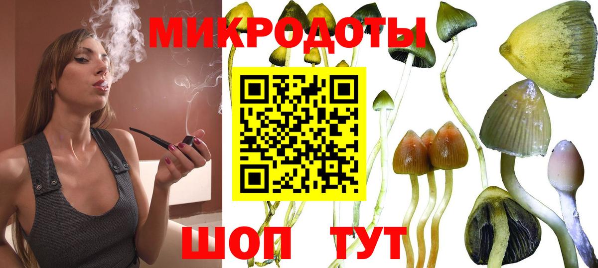 Галлюциногенные грибы MAGIC MUSHROOMS  наркотики  Кстово  Вход с VPN  Галлюциногенные грибы MAGIC MUSHROOMS 